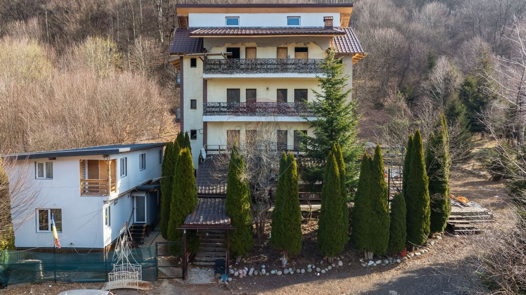 Investiție: Pensiune + Casă lemn, priveliște superbă,...