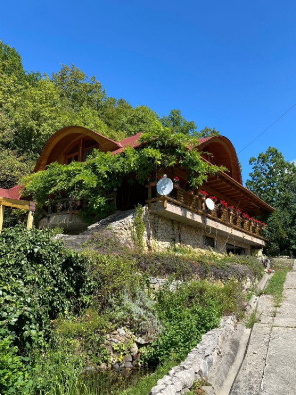 Domeniu exclusivist 17.000 mp | Vilă luxury cu piscină & S