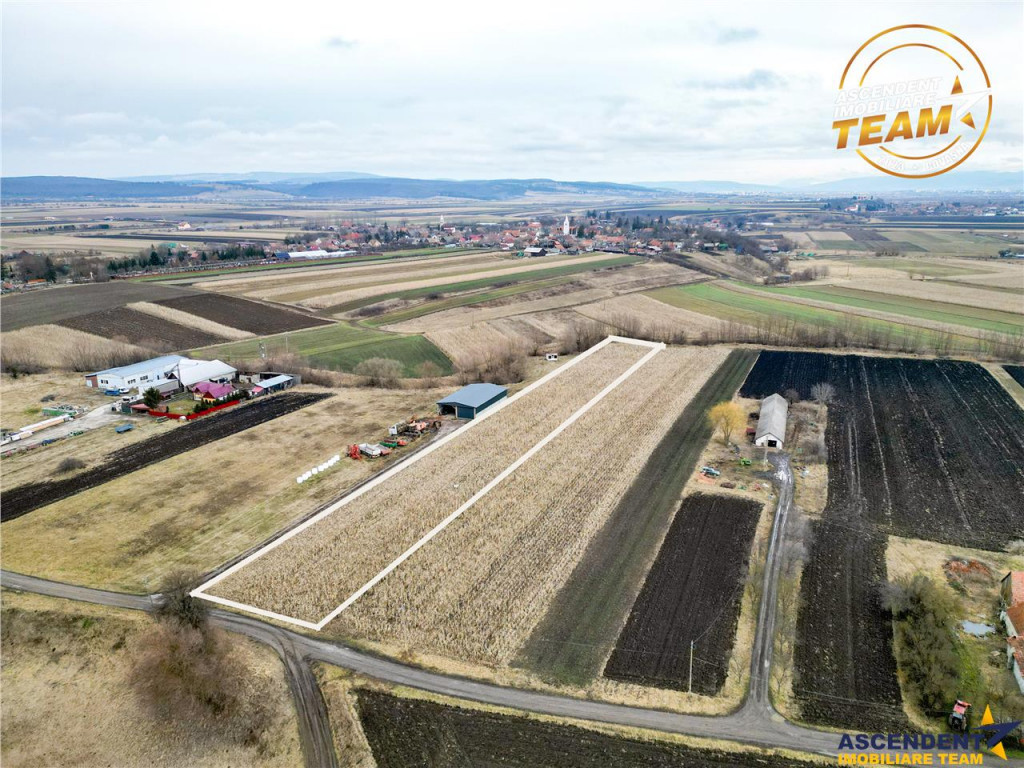 Film! Teren de 5.800 mp, Dobolii de Jos, Covasna