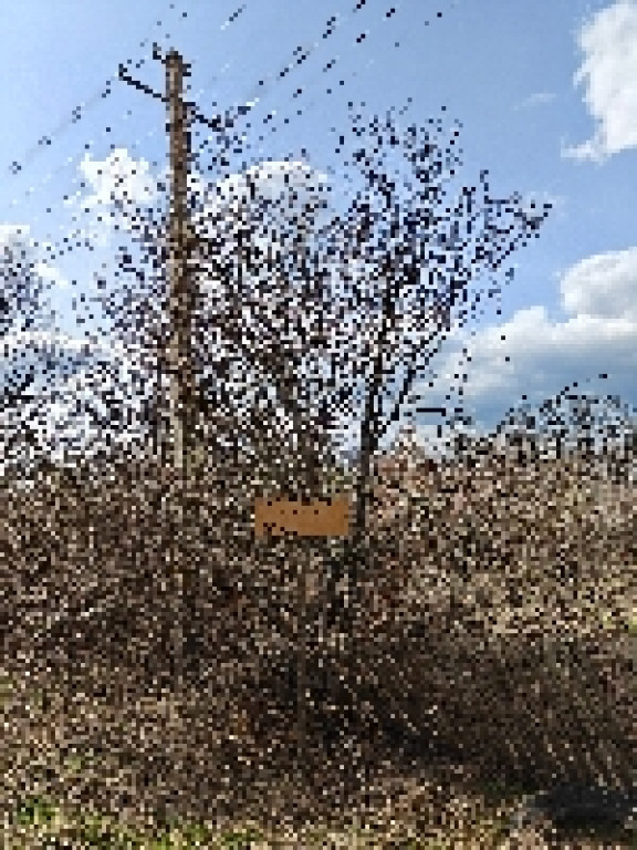 Teren Intravilan 1.472 mp Cotmeana - Lintești, Ag.