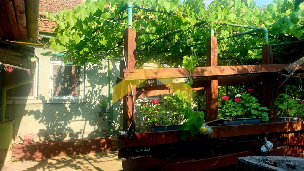 Casa la sol de Timisoara, zona Mehala