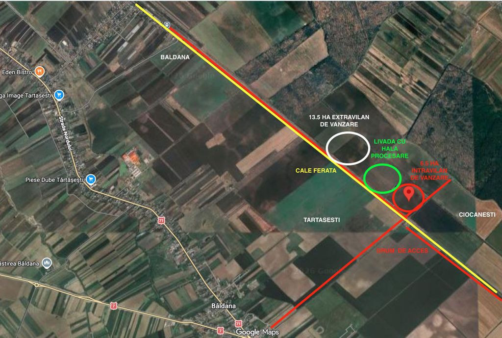 Teren intravilan arabil | Tartasesti | Baldana | Db 6,6 ha