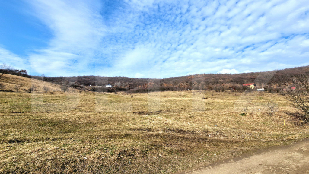 Teren intravilan 4100 mp în Florești | Parcelabil | Zonă