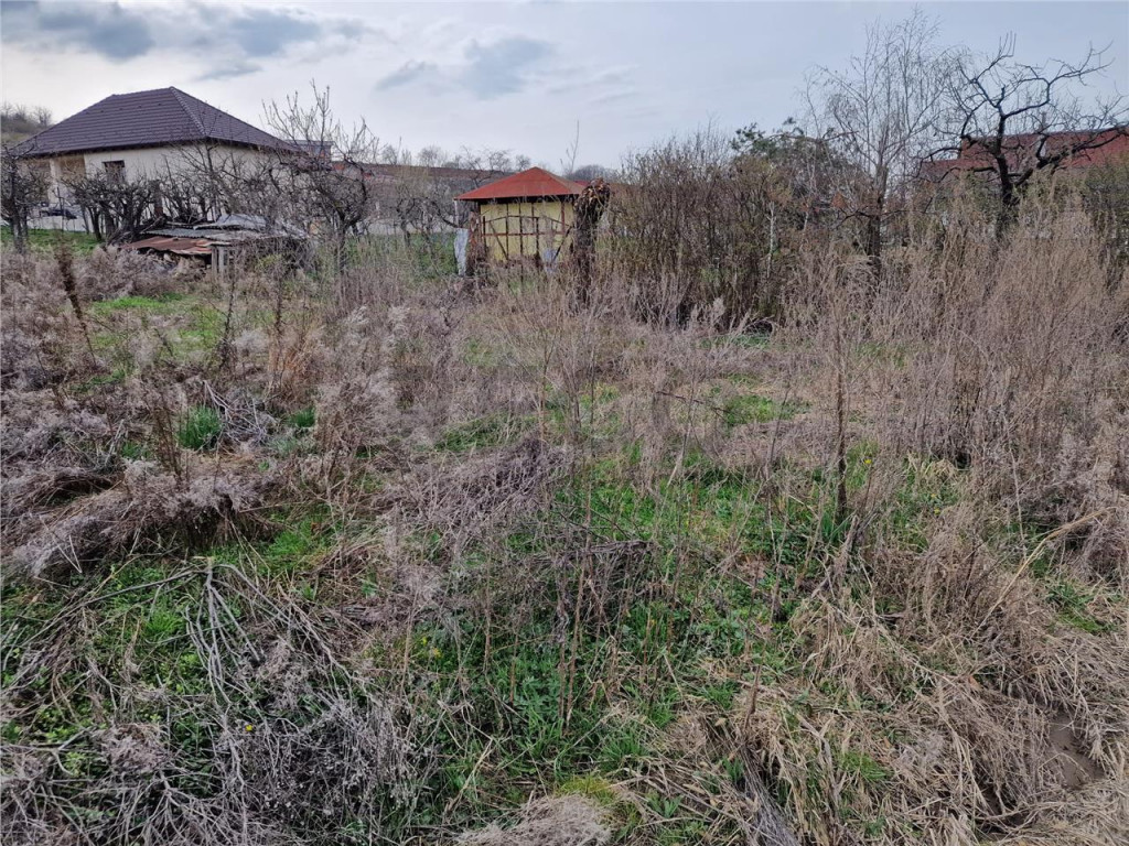 Teren intravilan in Oncea, str. Prunilor