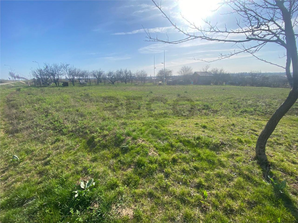 RECO teren extravilan 2148mp Episcopia