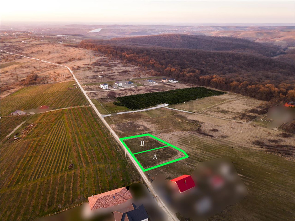 RECO Teren intravilan in Saldabagiu de Munte