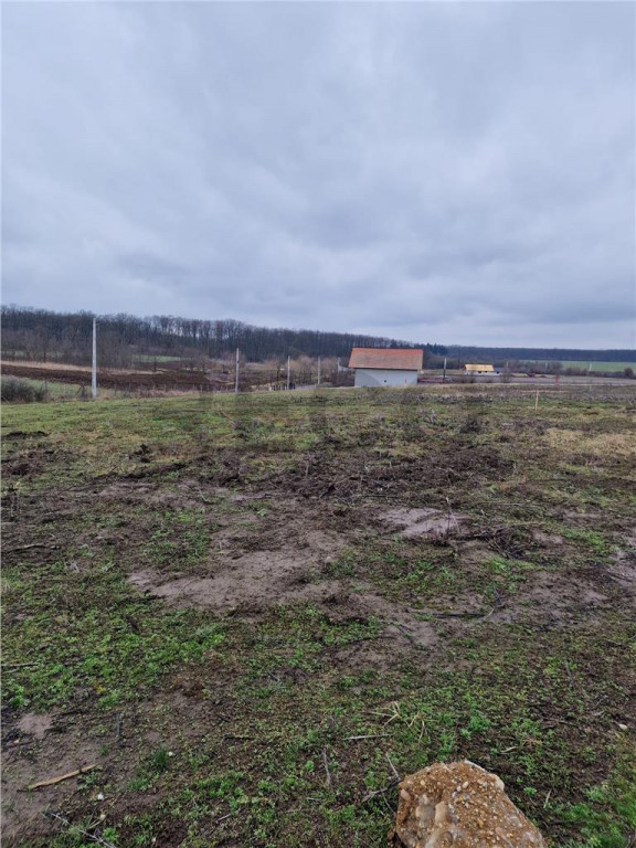 Teren intravilan cu proiect de casa in Pausa.