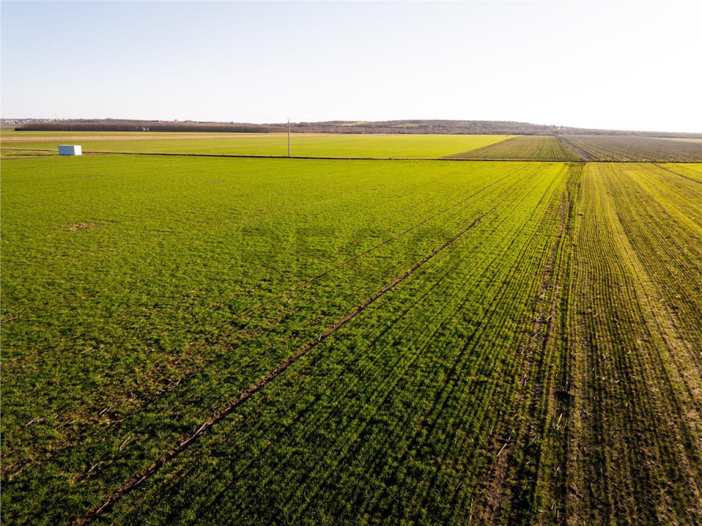 RECO Teren extravilan in Biharia 5500 mp zona intravilana