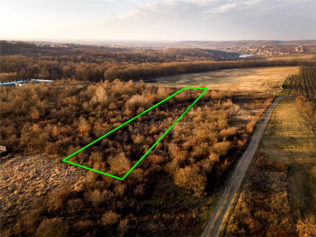 Reco Teren intravilan in Saldabagiu de munte 4333MP