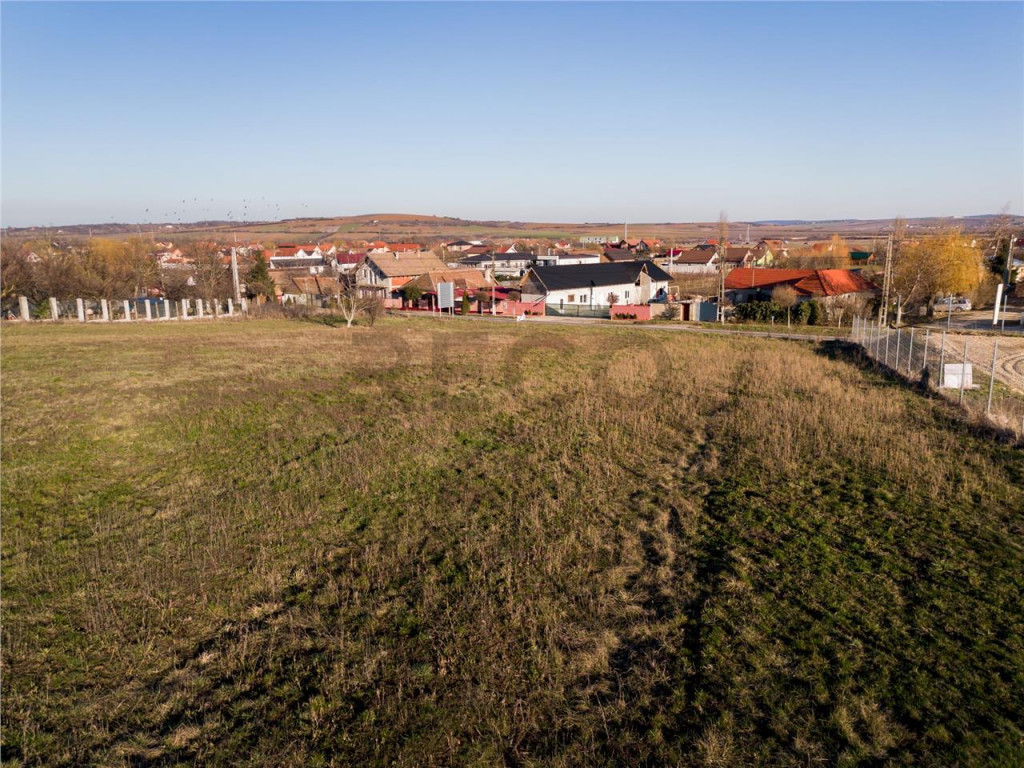 RECO Teren intravilan in Biharia