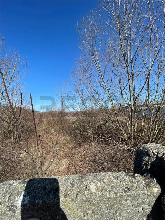 RECO Teren cu Potential Turistic Ridicat