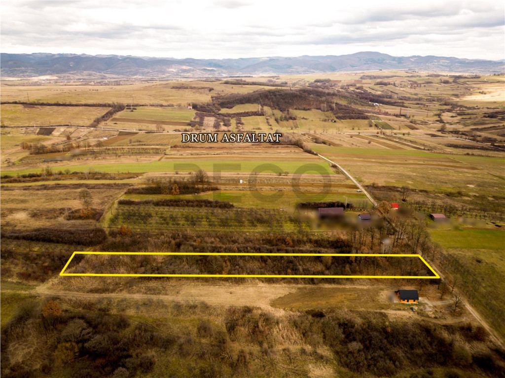 RECO Teren intravilan Zona Vadu Crisului Bihor