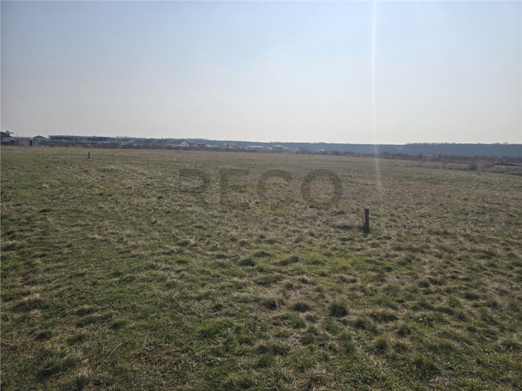 RECO Teren Grigorescu