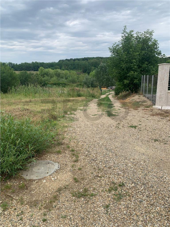 Teren intravilan in Paleu