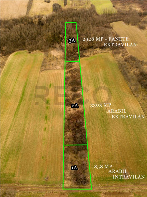 RECO Teren intravilan in Ceica Bihor