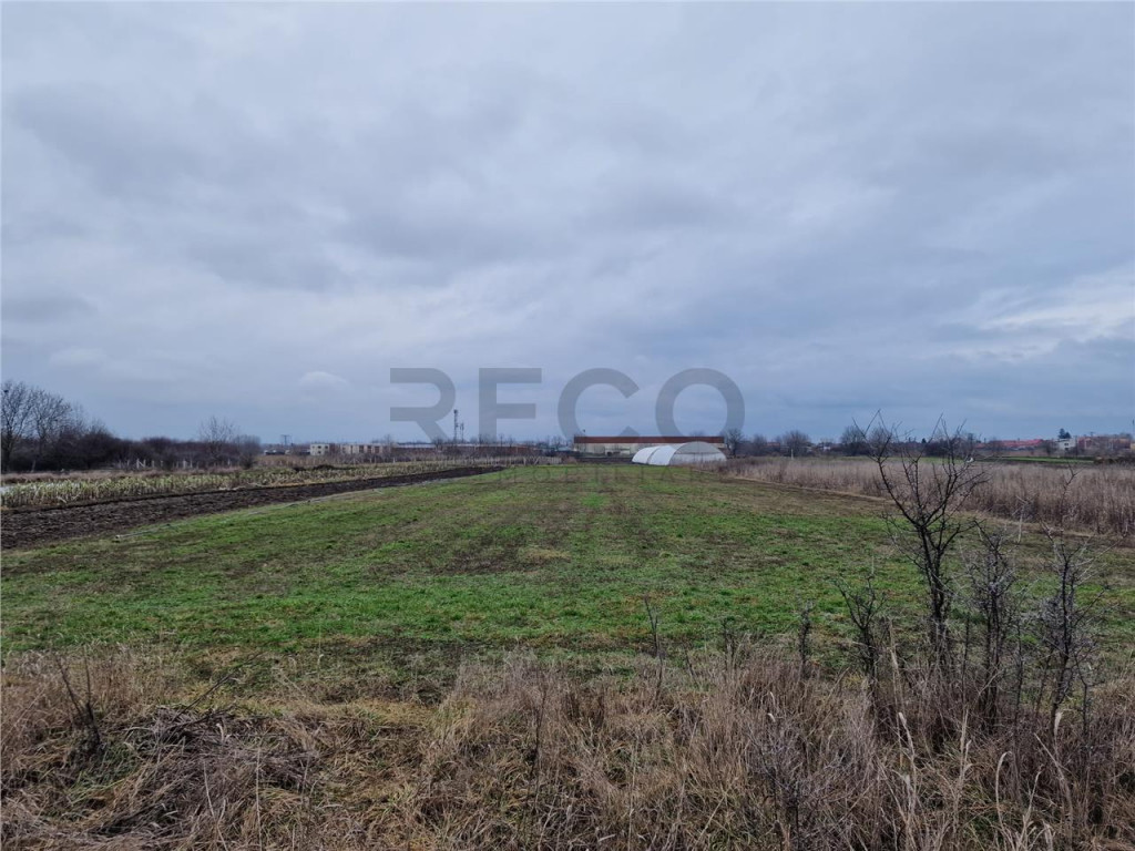 Teren intravilan in Bors cu front mare