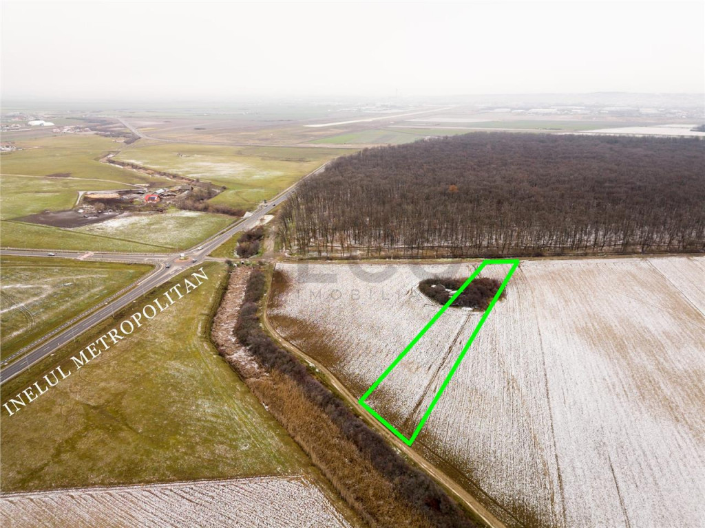 RECO Teren extravilan Nojorid langa Inelul Metropolitan