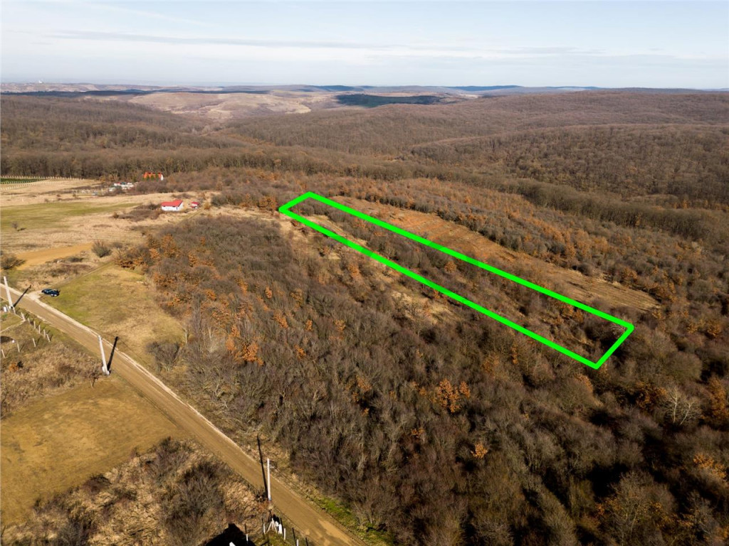 Reco Teren ideal pentru investitii- Saldabagiu de Munte