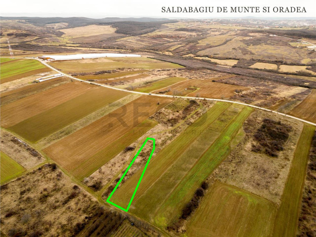 RECO Teren intravilan in Paleu