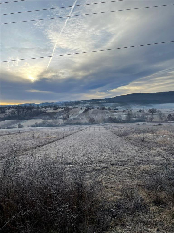 RECO teren Vadu Crisului