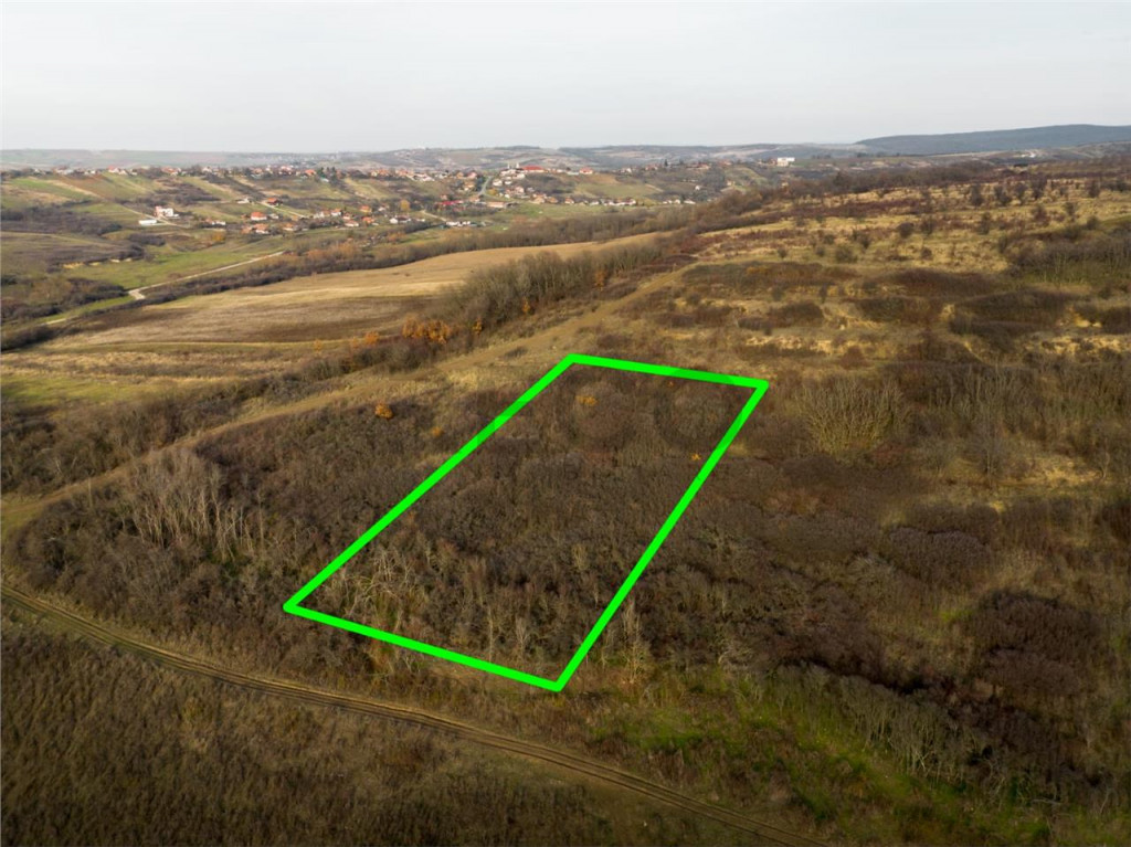 RECO . Teren extravilan . Uileacul de munte