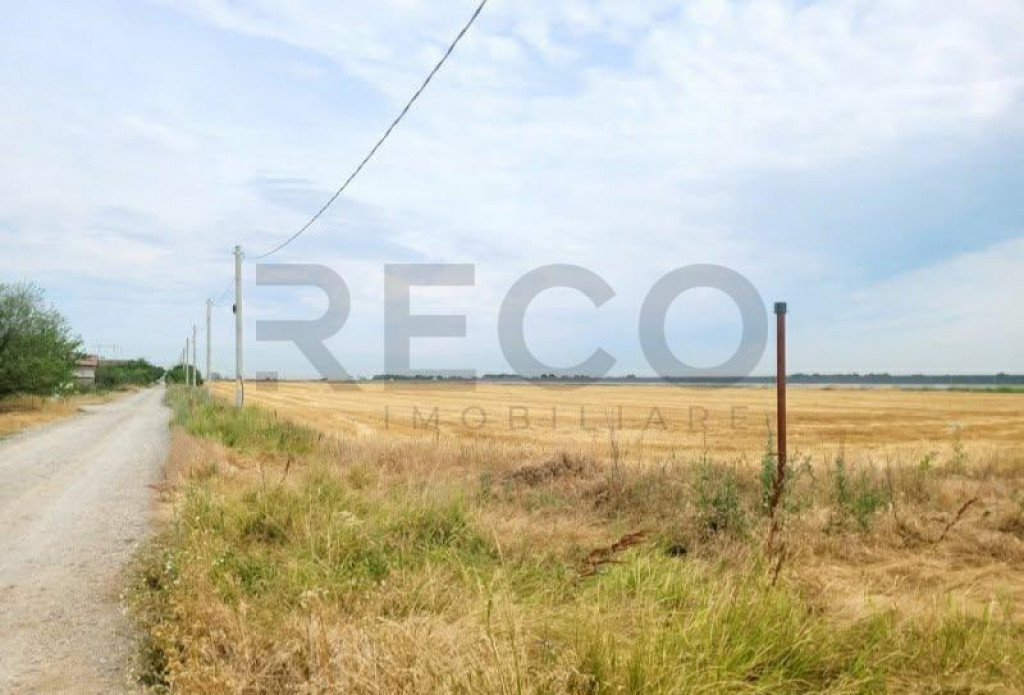 RECO, teren intravilan, Zona Sinteu, Bihor