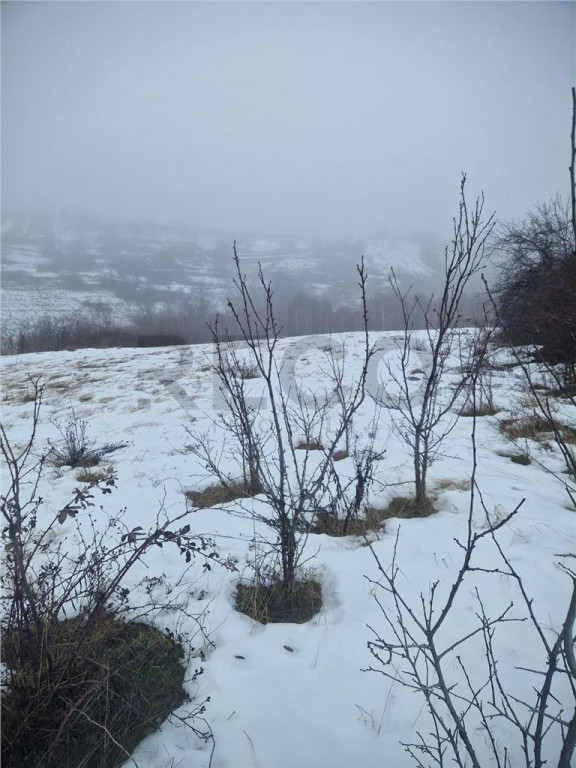 RECO, teren intravilan, Zona Sinteu, Bihor