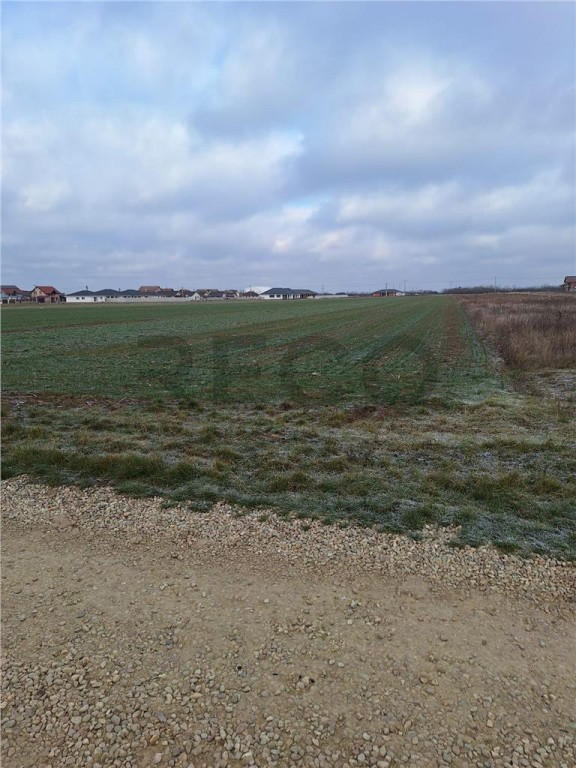 Reco, teren intravilan Nojorid