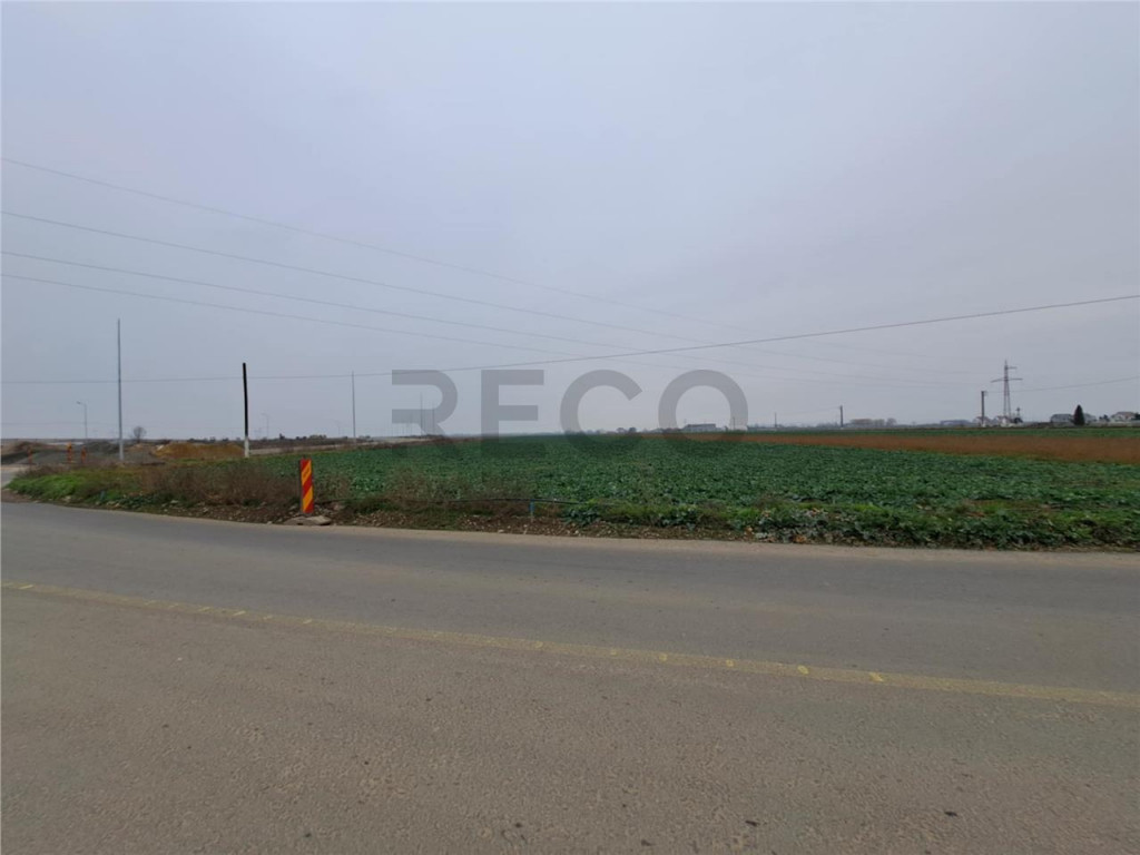 RECO teren intrare Chiribis