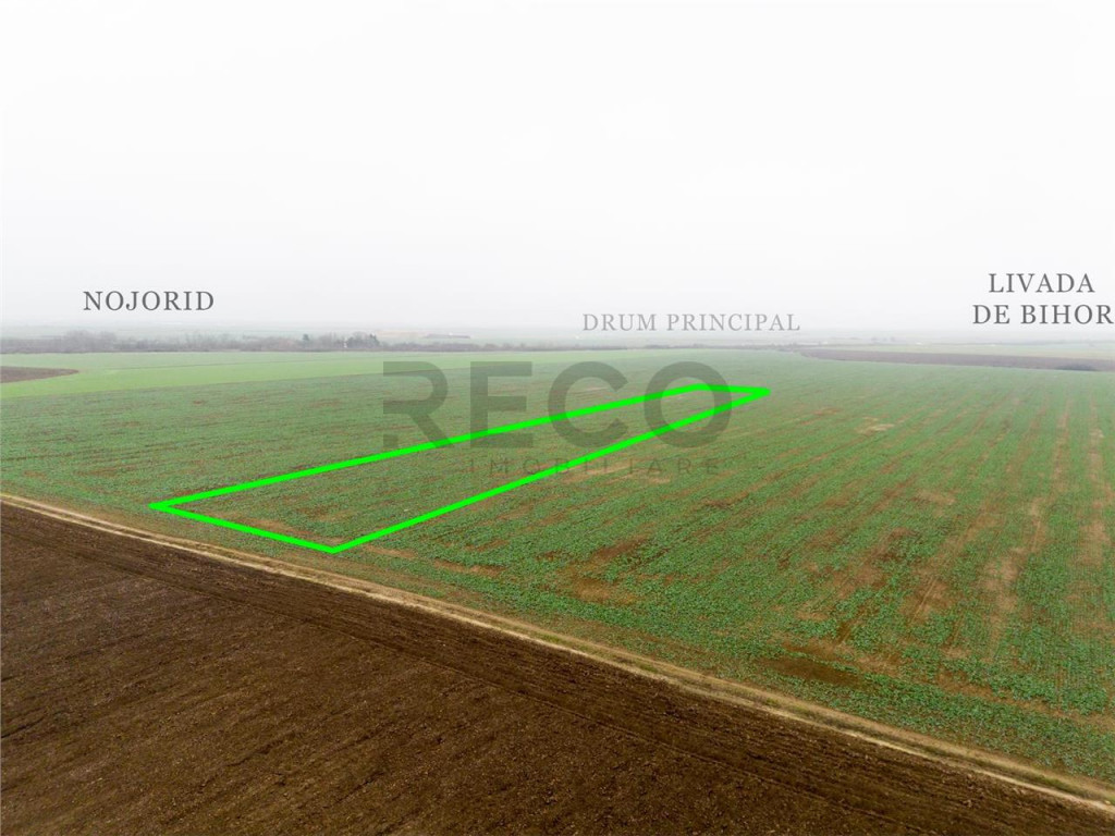 RECO Teren extravilan 5800 mp Livada de Bihor
