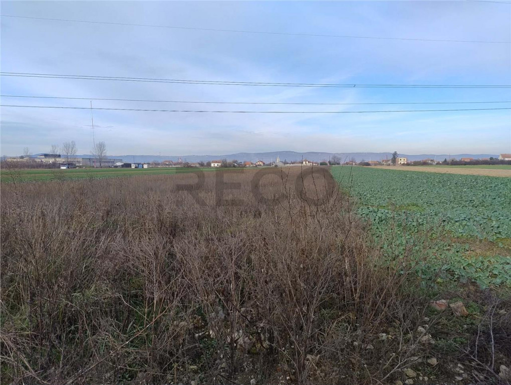 RECO Teren intravilan in Osorhei 5500mp dublu front