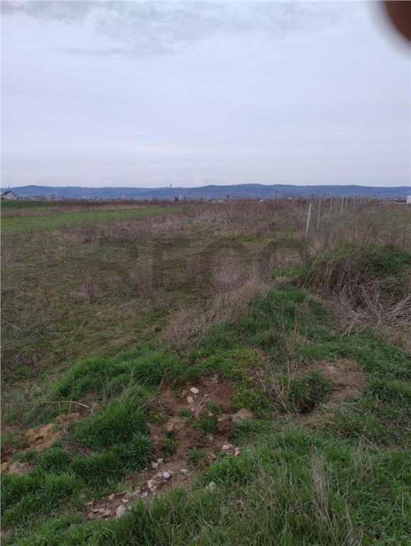 RECO Teren intravilan, Livada de Bihor