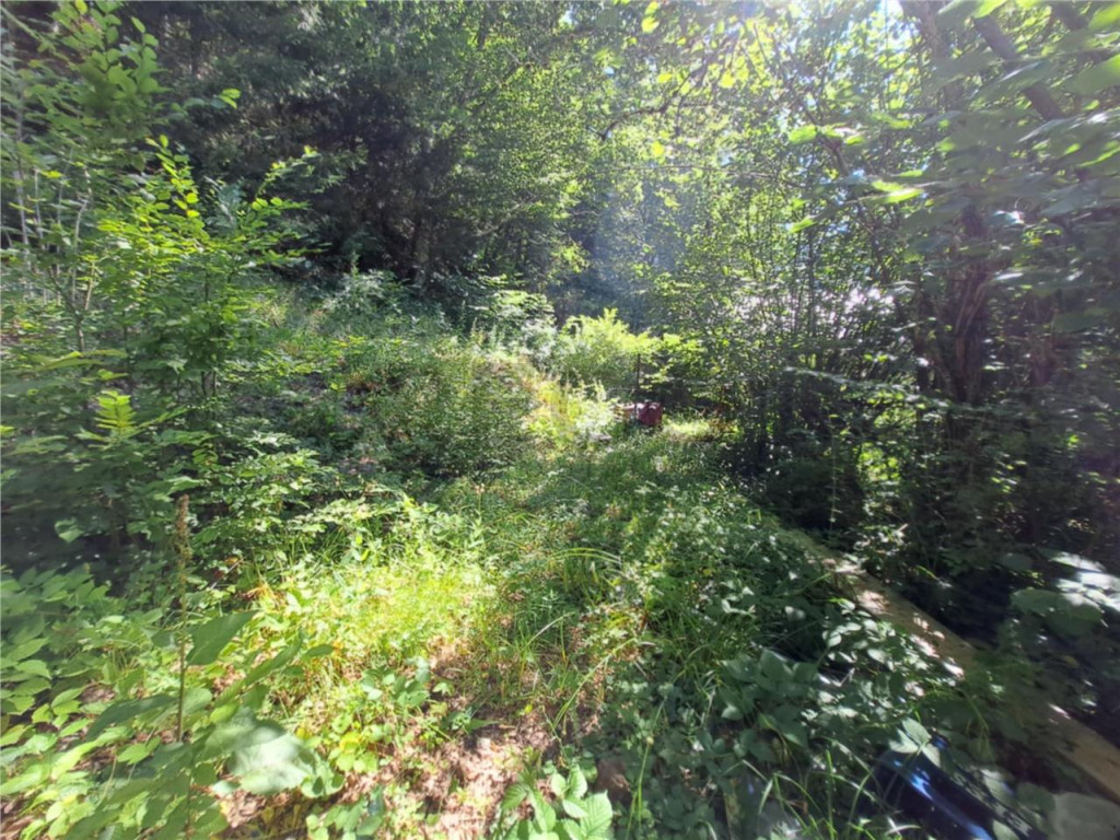 RECO Teren intravilan Boga