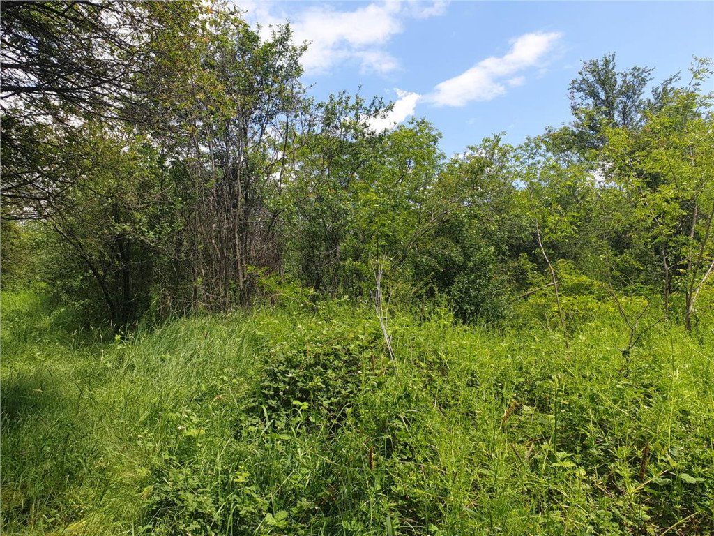 Teren extravilan Episcopia Bihorului