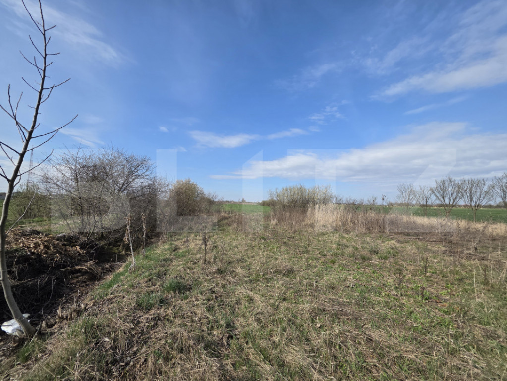 Teren de vanzare, 5000 mp, zona Odobescu Satu Mare