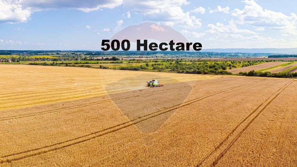 Teren 500 h plus 1000h arenda Vrancea