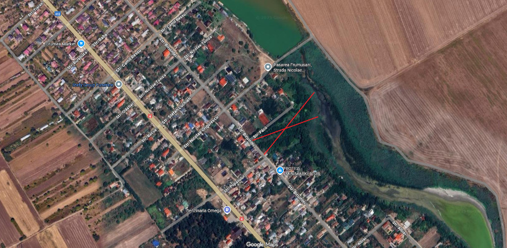 Teren intravilan 10000 mp Frumusani Pasarea Calarasi deschidere la lac