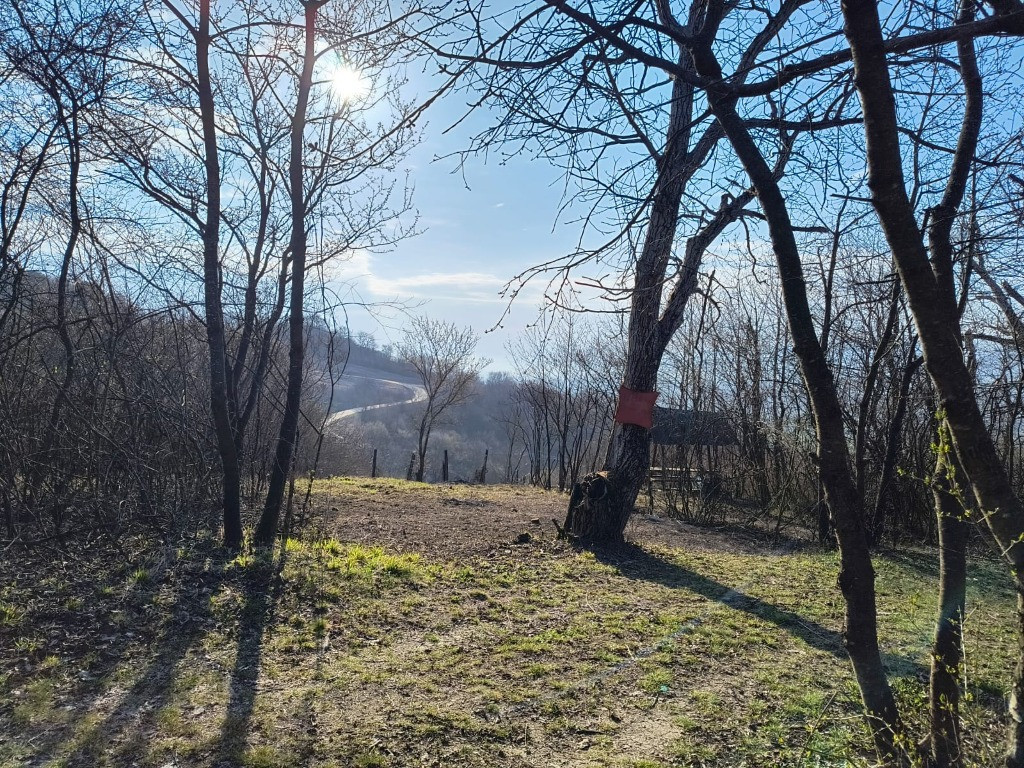 Teren cu vita de vie comuna Cristian judetul Sibiu 500mp