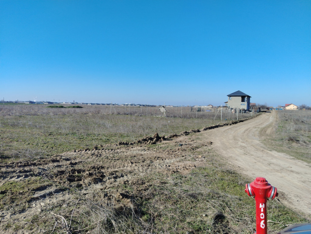 Teren extravilan, Cârcea, 988 mp