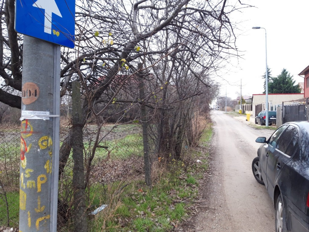 Teren de vanzare in Palazu Mare, Elvila - 973 mp