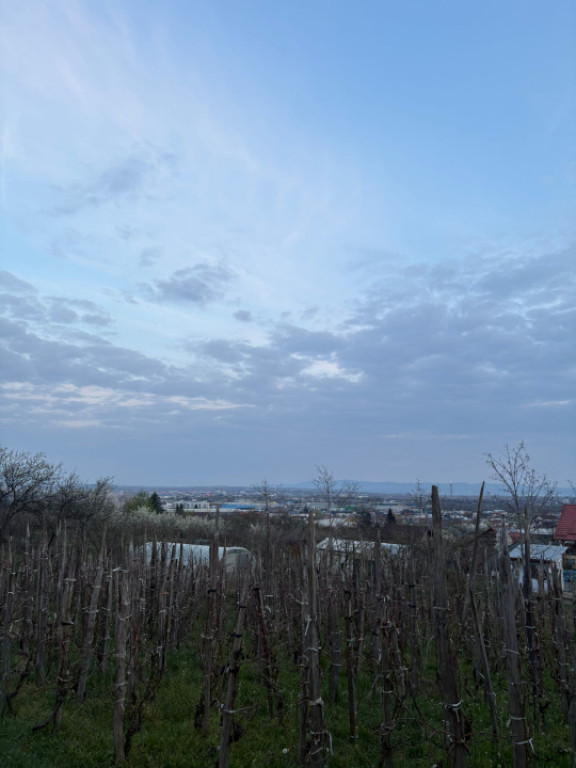 Teren 600 mp cu autorizație de construcție | panoramă sup