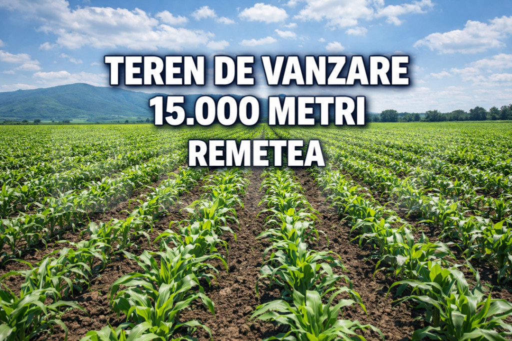 Duplex la doar 8 minute de Timisoara