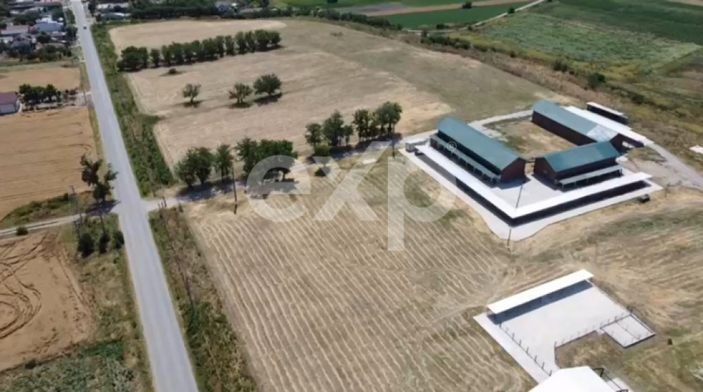 Ferma cu abator autorizat | Singureni Giurgiu