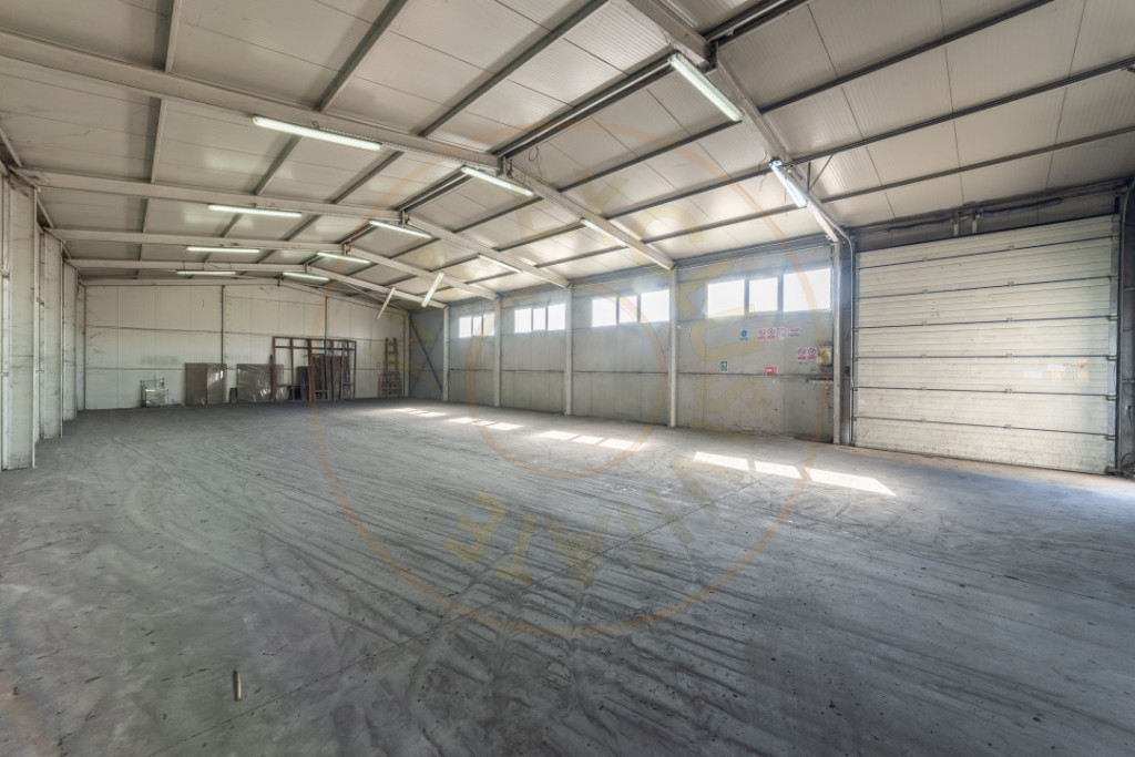 Hale & Birouri Mărăcineni - 1.294 mp - Deschidere la DN