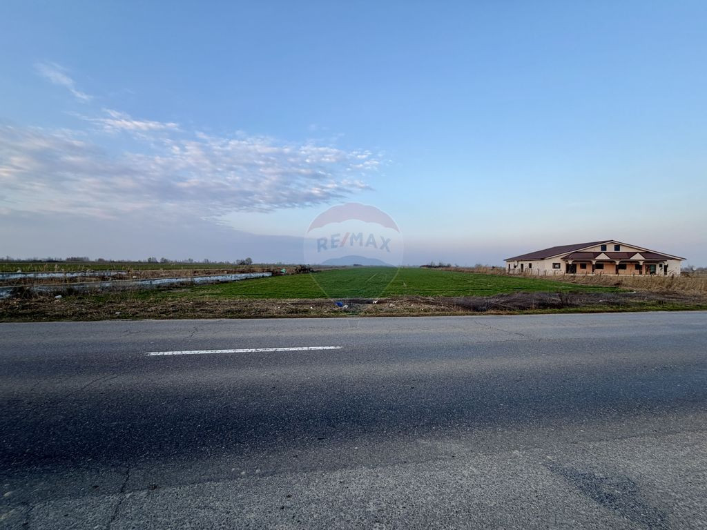 Teren 12,360mp Botarlau / Strada Unirii