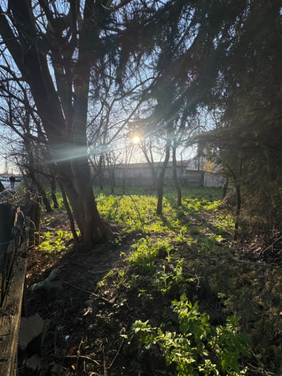 DE VANZARE: TEREN 25 ari cu panorama - Baia Mare - str. M...