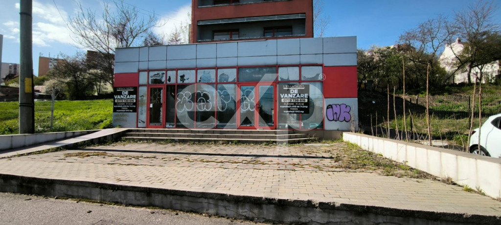 FRATII GOLESTI | Clădire P+3+M, 928 mp, teren 1.996 mp, des