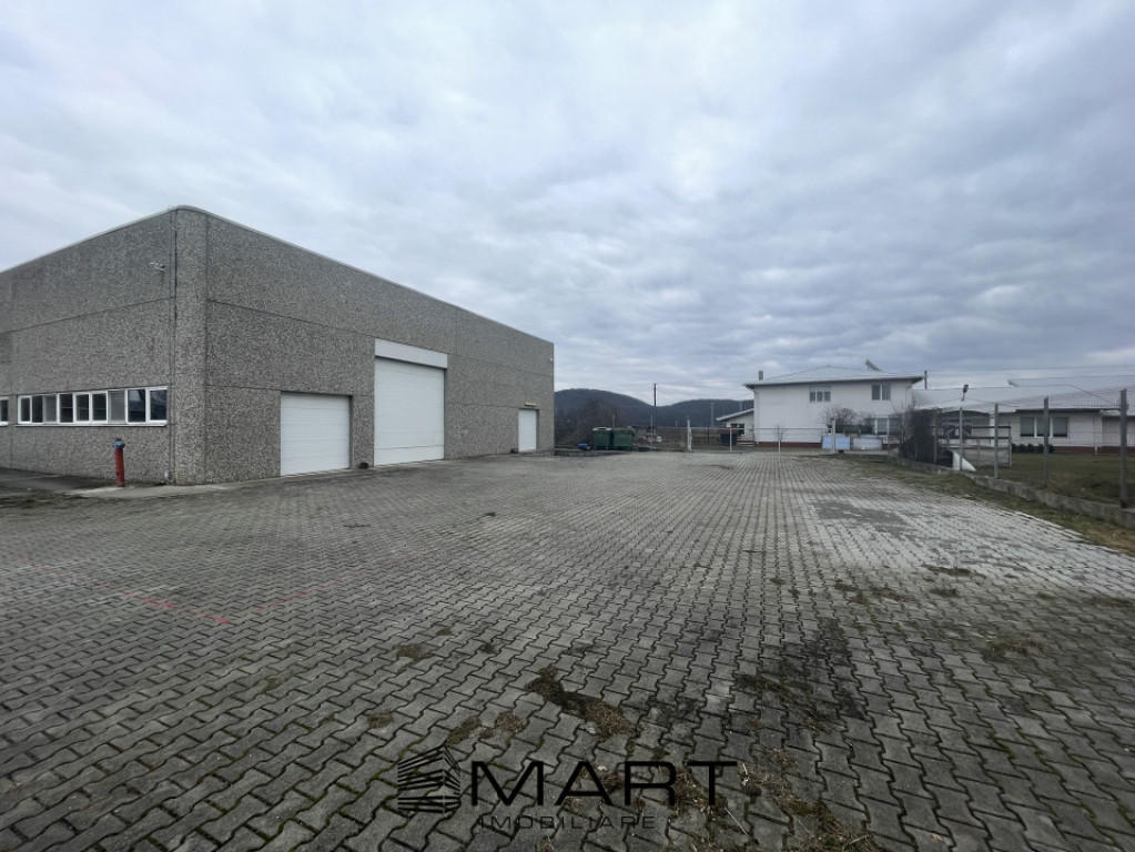 Spatiu industrial zona Selimbar Sibiu