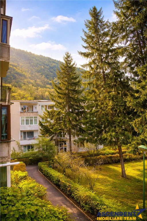 Apartament 2 camere, luminos,Ultracentral, Brasov.