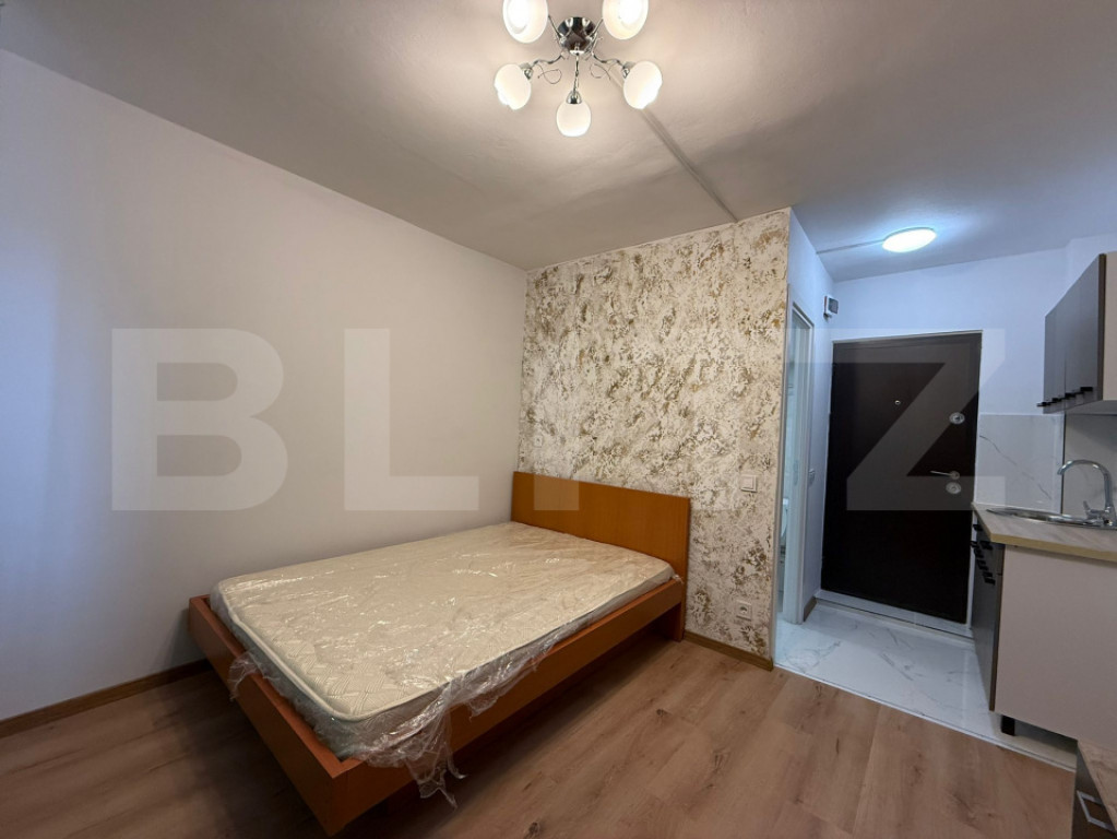 Camera de camin, 17 mp, zona Bularga